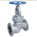 GB/T1853-2008 Cast steel side stop check valve